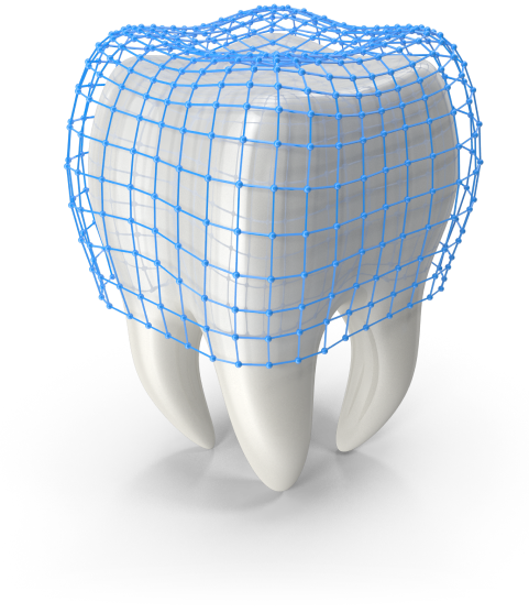 3D Tooth